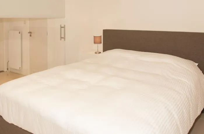 德尔希斯尼公寓 公寓式酒店