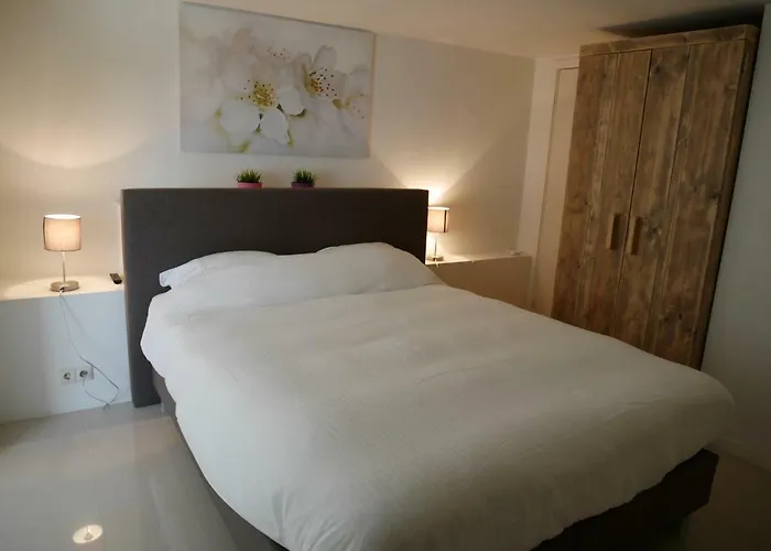 公寓式酒店 德尔希斯尼公寓 赞德沃特