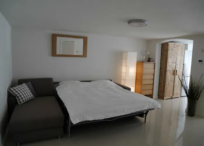 公寓式酒店 德尔希斯尼公寓 4*