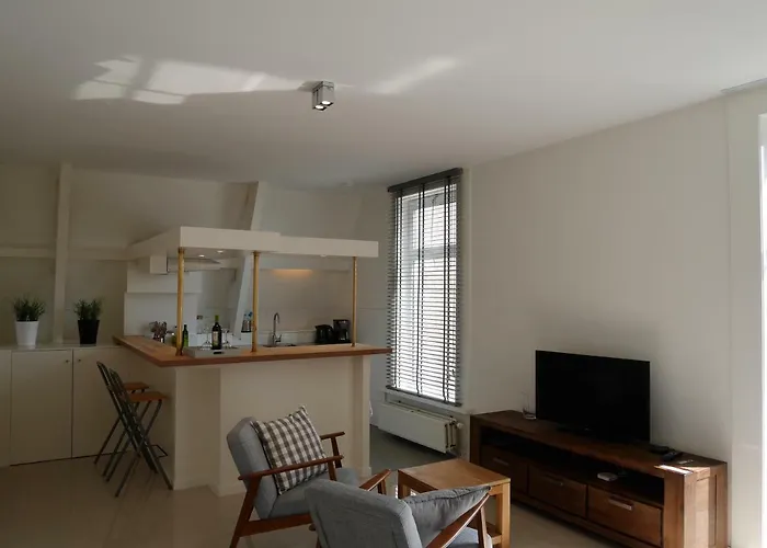 公寓式酒店 德尔希斯尼公寓