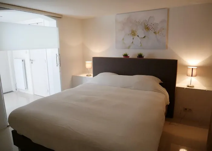 德尔希斯尼公寓 公寓式酒店