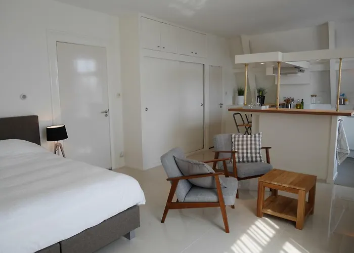 德尔希斯尼公寓 4* 赞德沃特