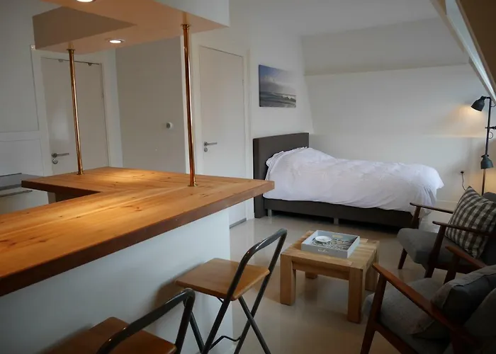 德尔希斯尼公寓 4* 赞德沃特