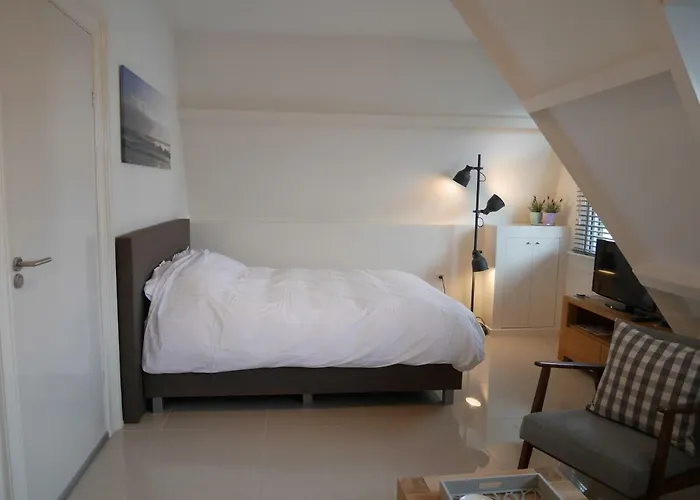 公寓式酒店 德尔希斯尼公寓