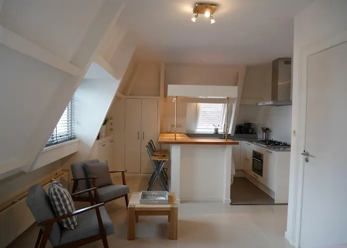 公寓式酒店 德尔希斯尼公寓 赞德沃特