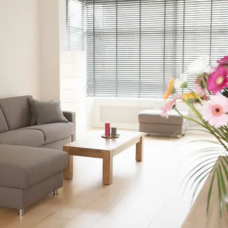 Casa Del Cisne 4* 잔드보르트
