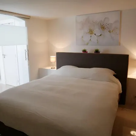 Casa Del Cisne Appart hôtel