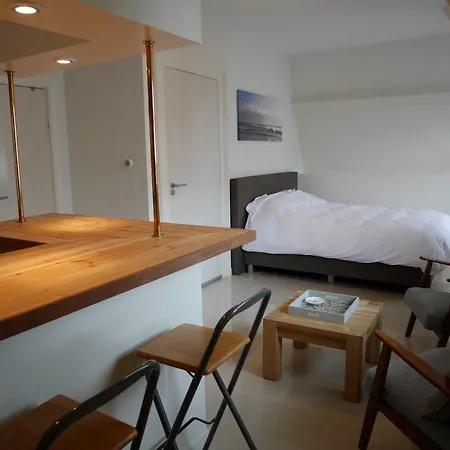 Casa Del Cisne 4* 잔드보르트
