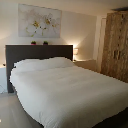 Aparthotel Casa Del Cisne Zandvoort
